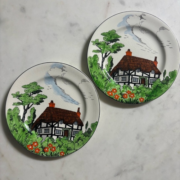 Set of 2 antique John Maddock and Sons 8” ceramic plates in Rustic pattern - Picture 1 of 11